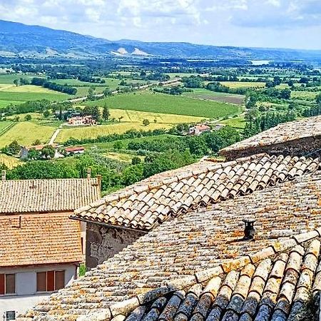 Domus Claudia Villa Castiglione In Teverina Bagian luar foto