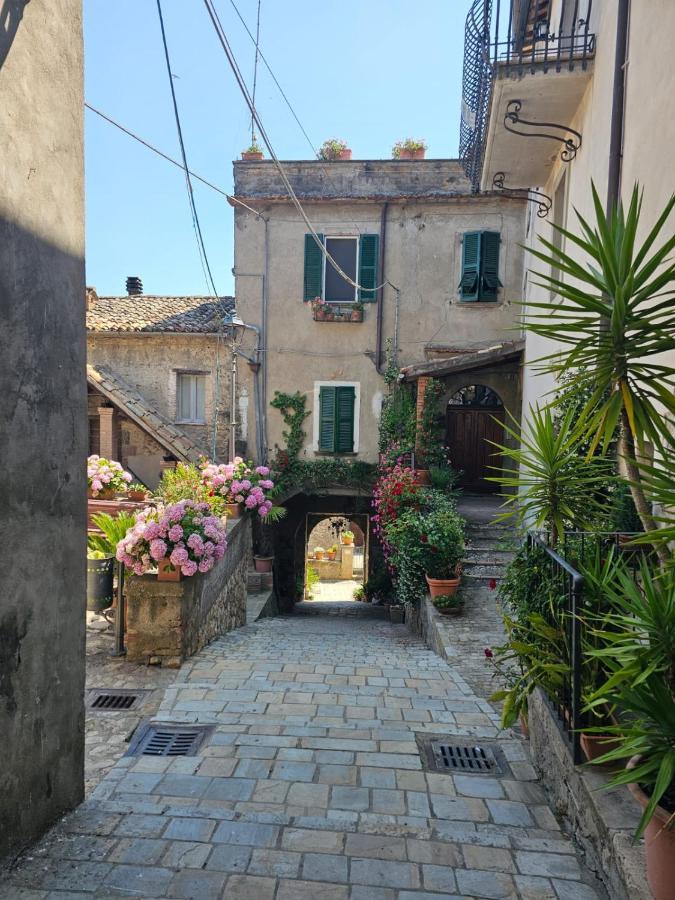Domus Claudia Villa Castiglione In Teverina Bagian luar foto