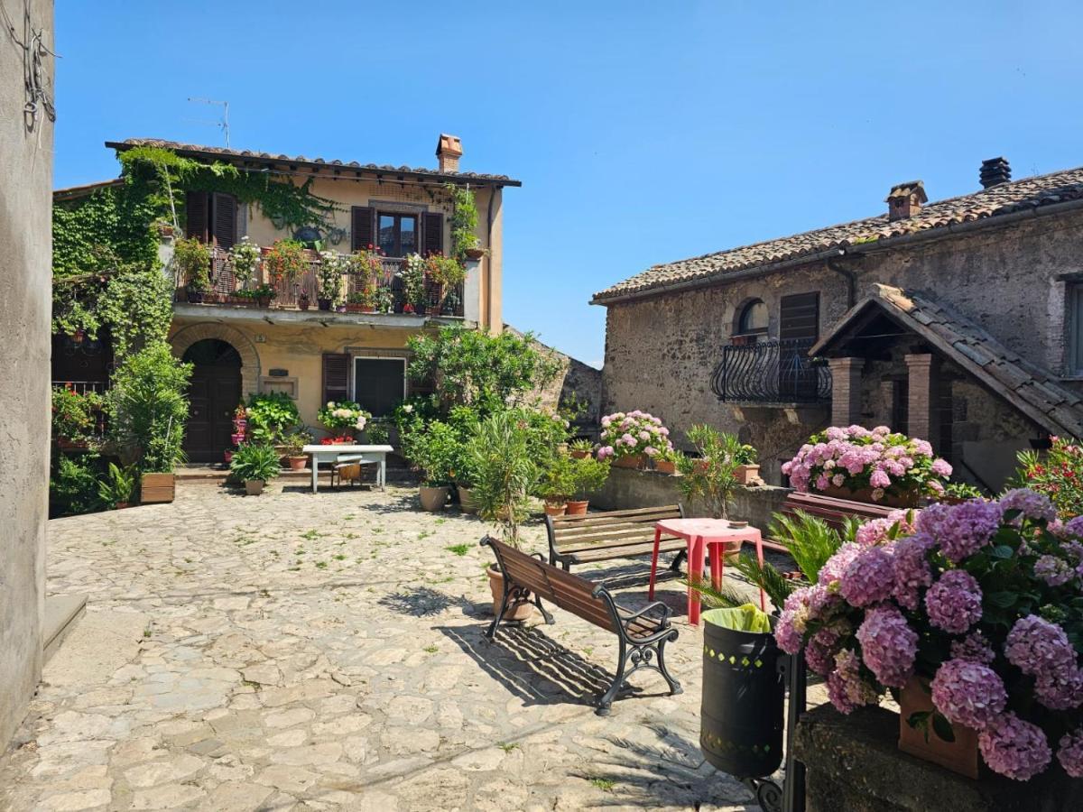 Domus Claudia Villa Castiglione In Teverina Bagian luar foto